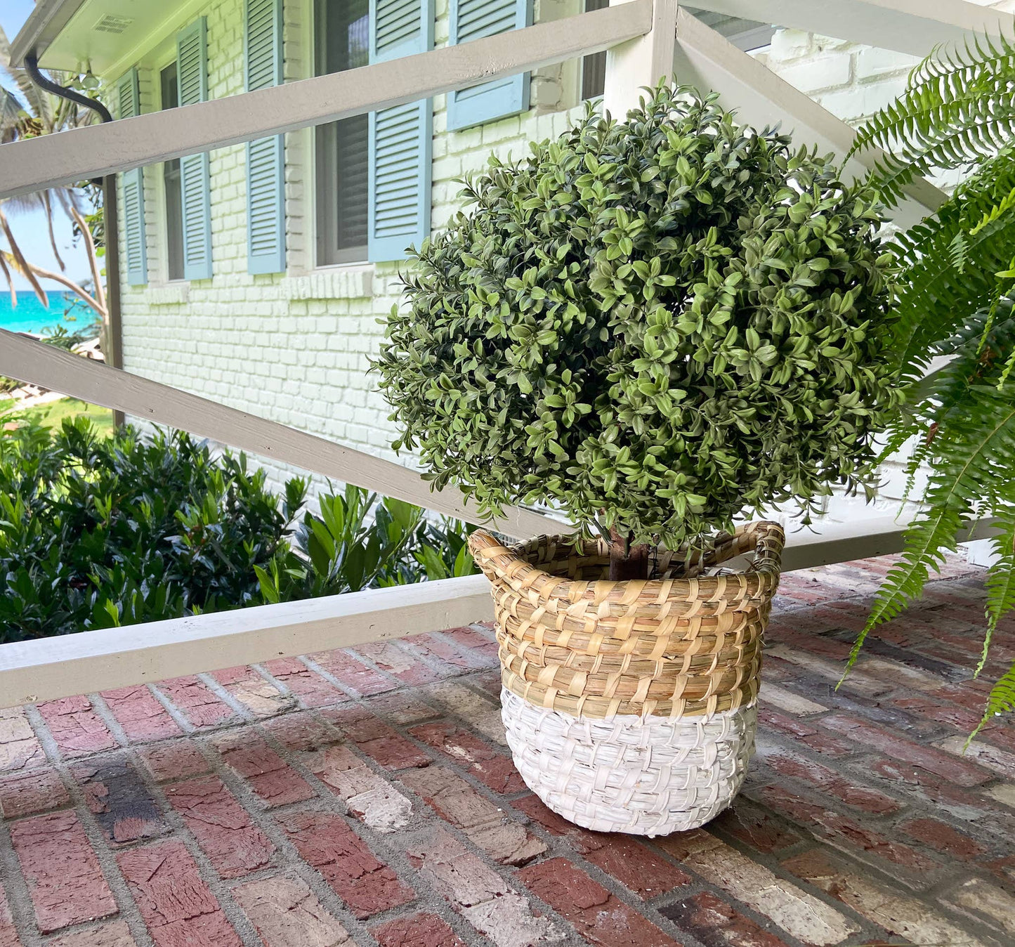 UV Boxwood Ball 16" x 25" Topiary