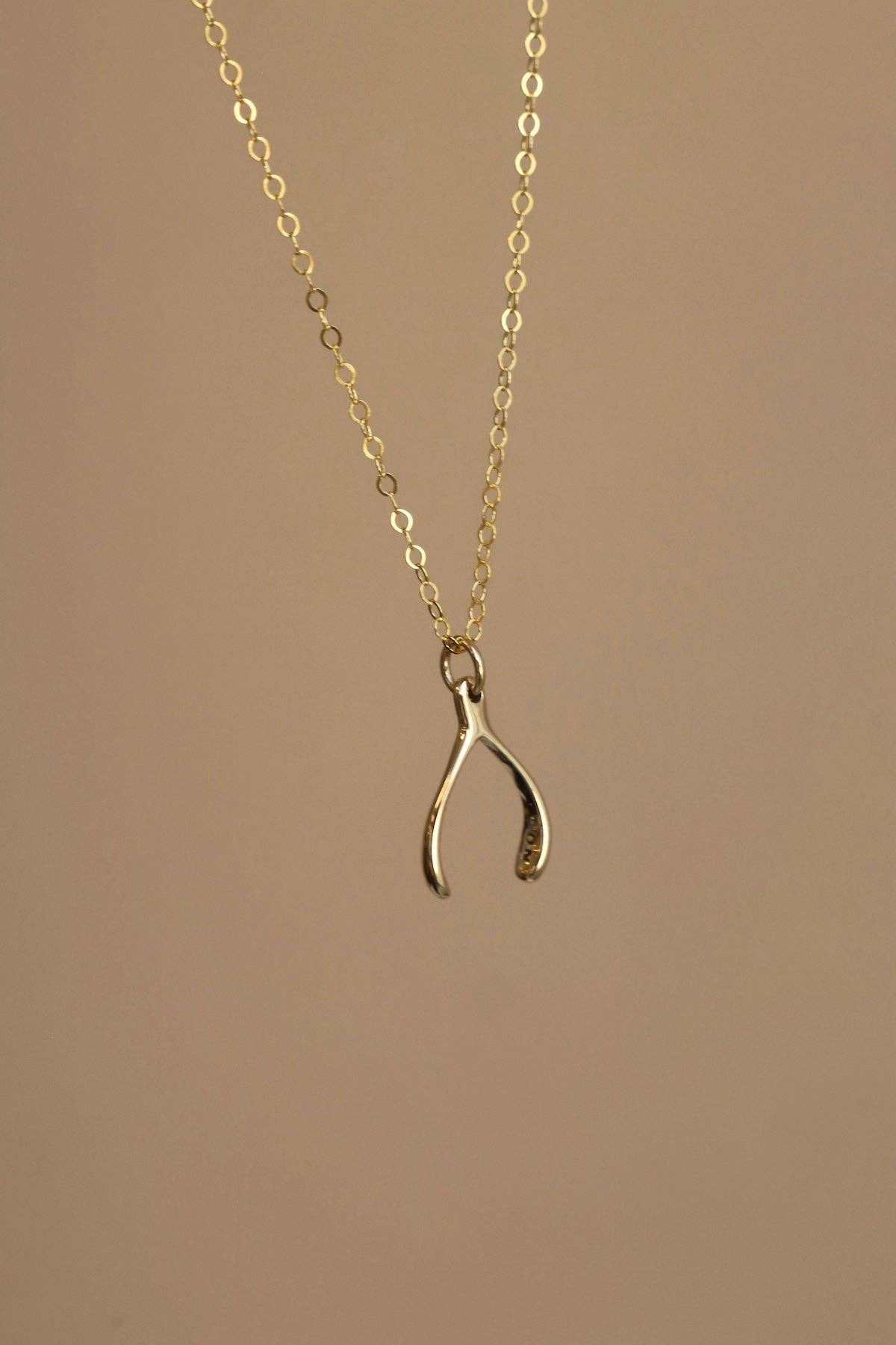 WISHBONE NECKLACE