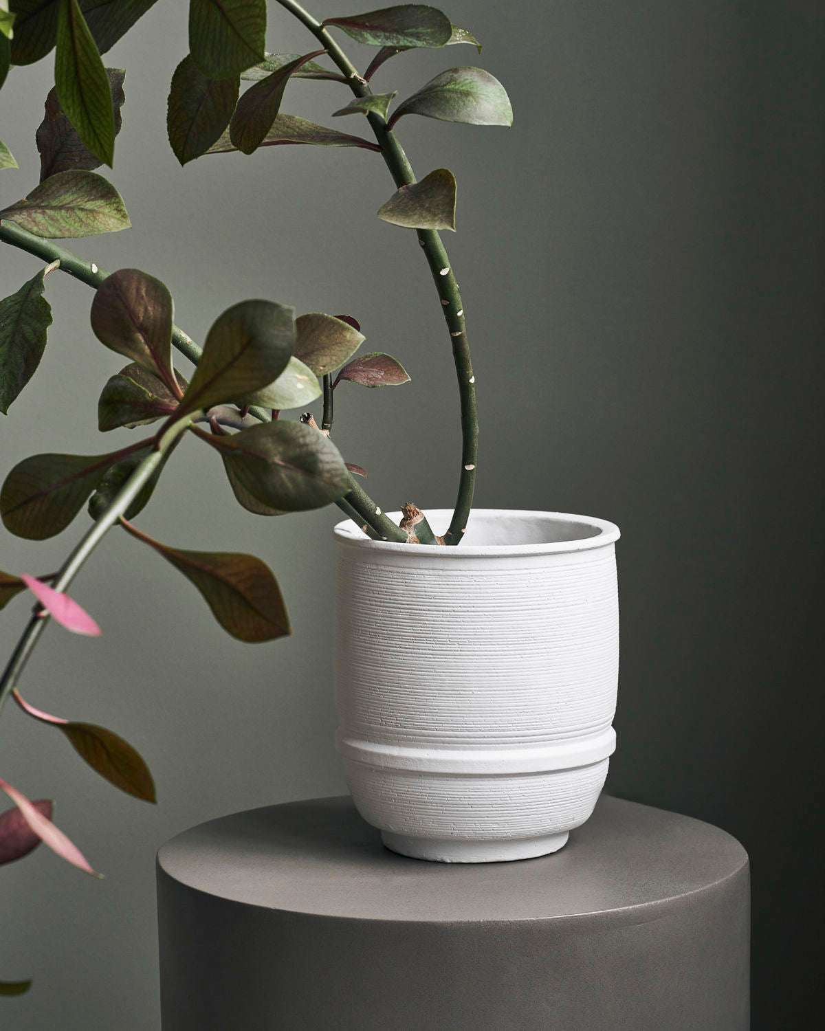 White Cement Planter