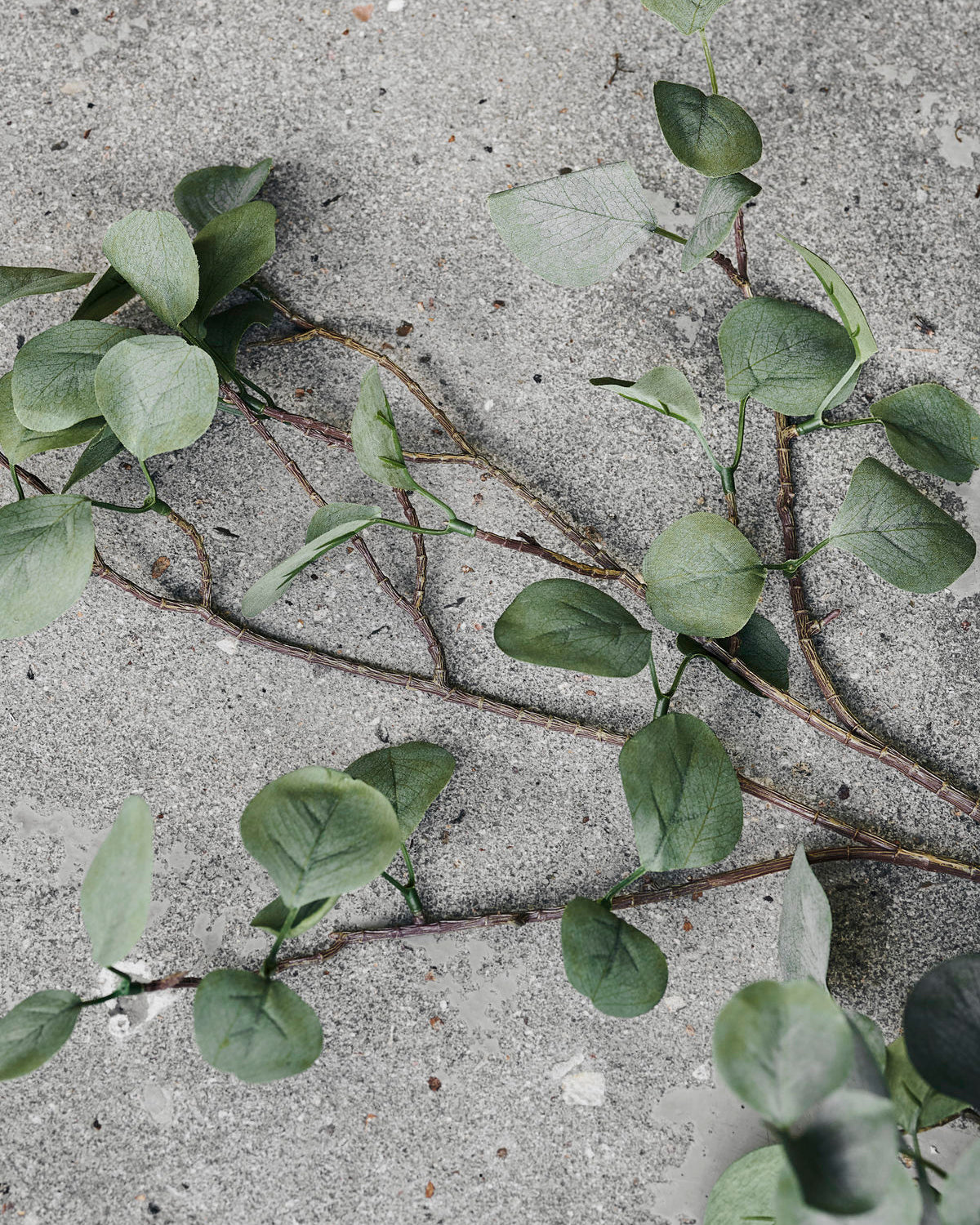Eucalyptus Branch - 31.5"