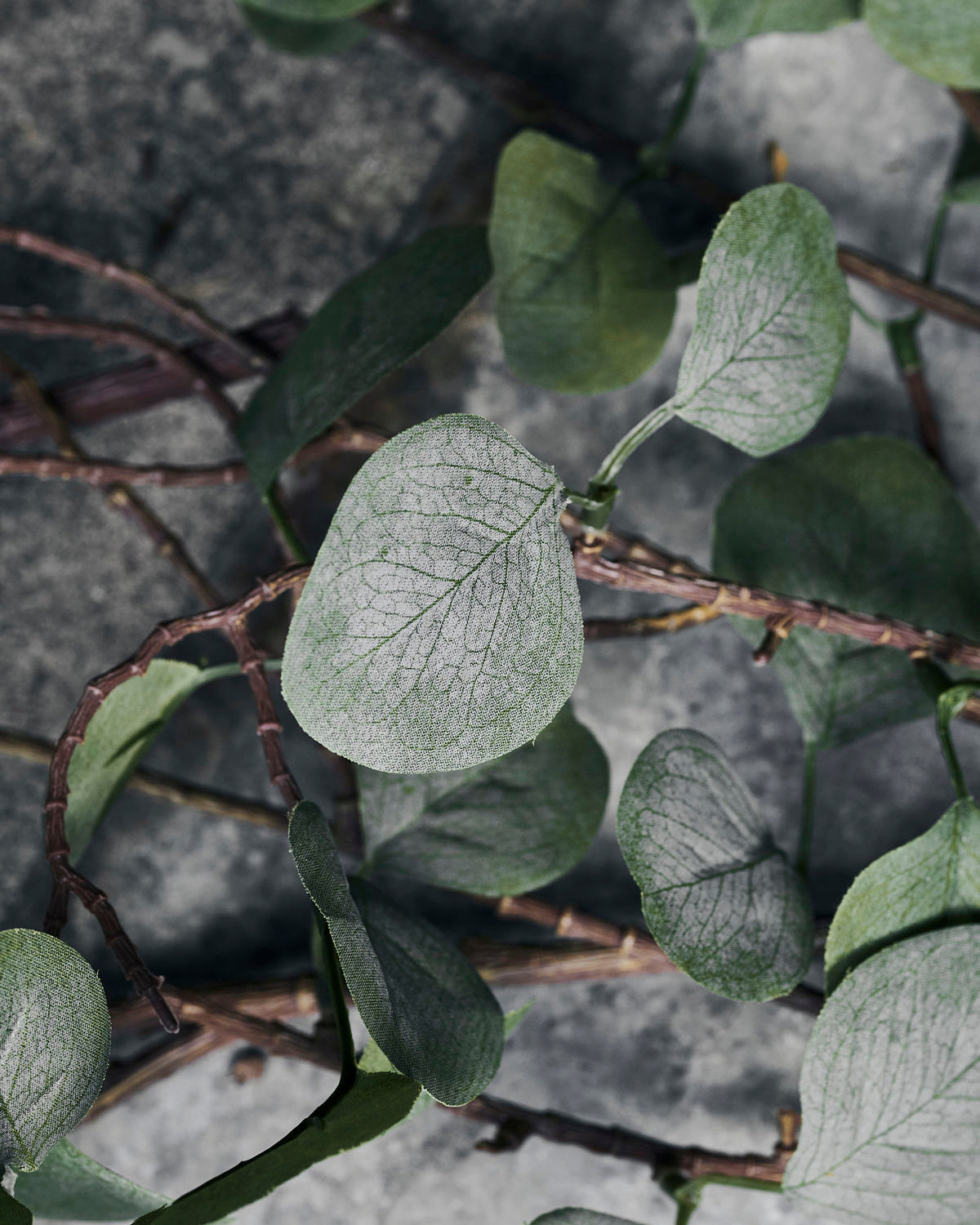 Eucalyptus Branch - 31.5"
