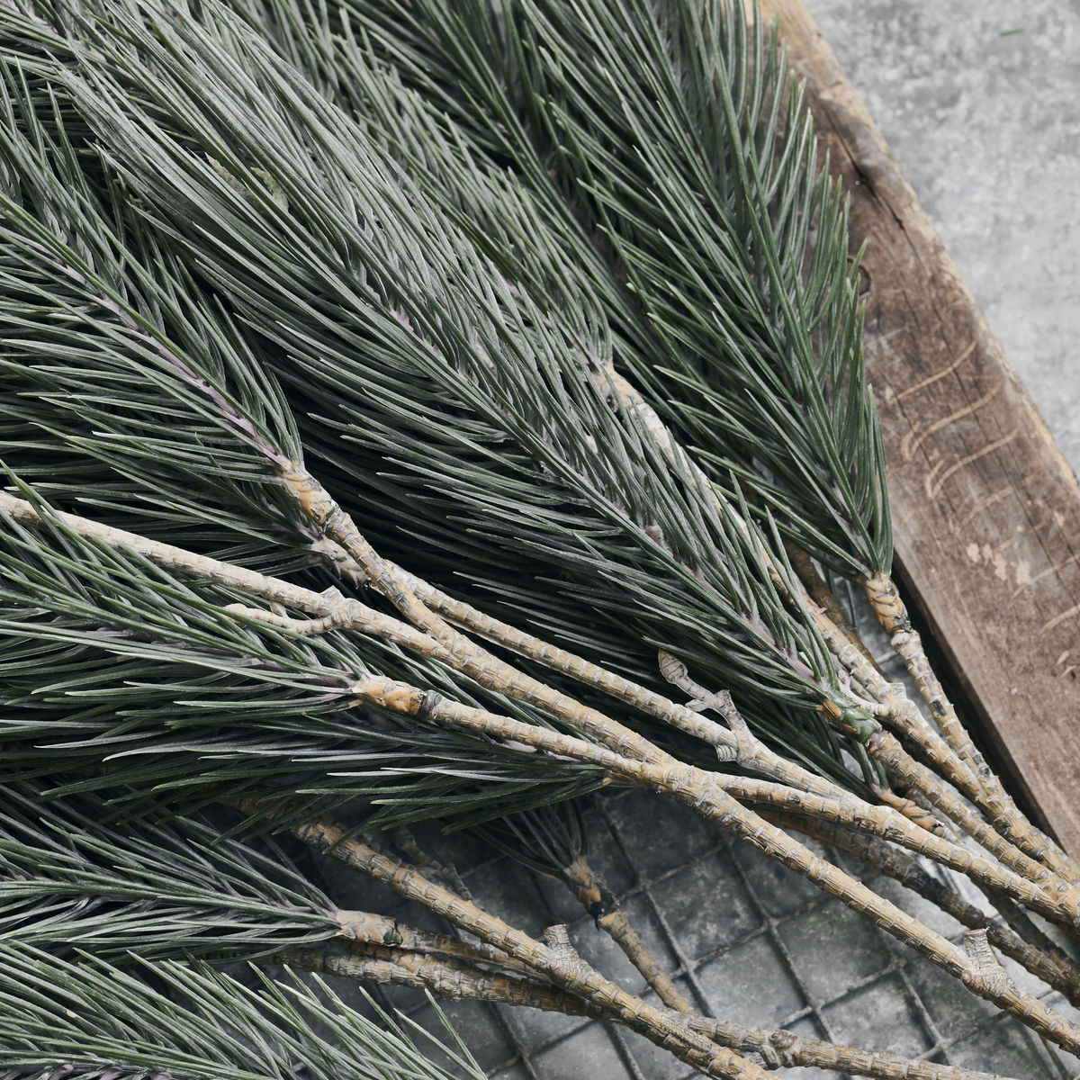 Pine Branch - 38"