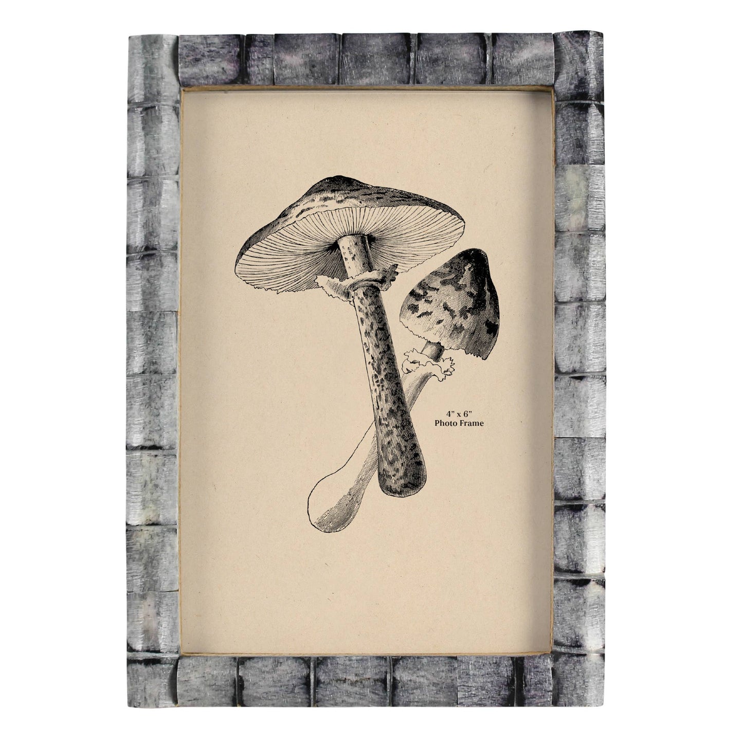 Gray Bone Frame 4x6