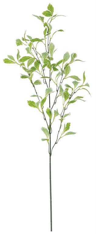 Watercress Leaves Spray 36" Green/cream