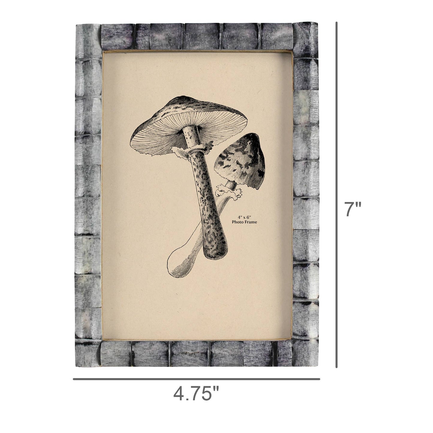 Gray Bone Frame 4x6