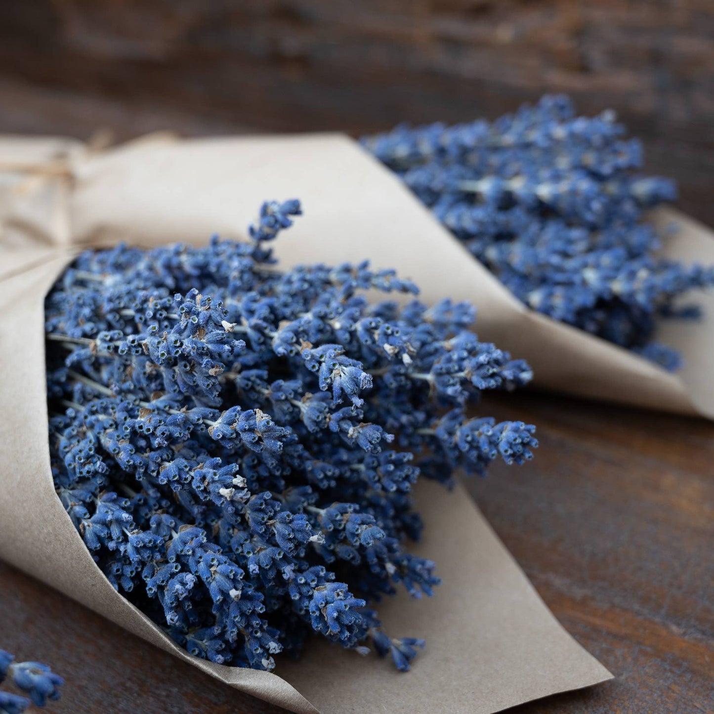 French Lavender Bunch