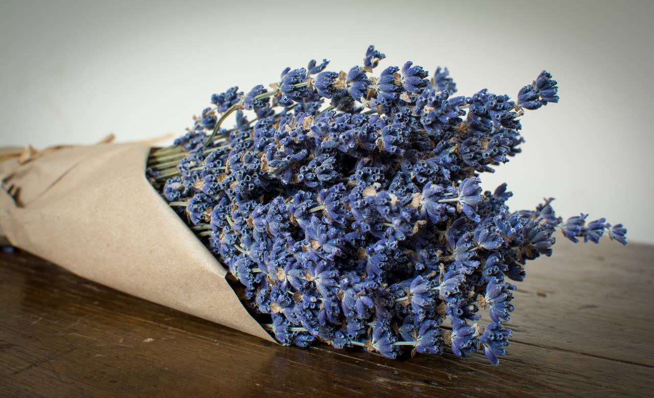 French Lavender Bunch