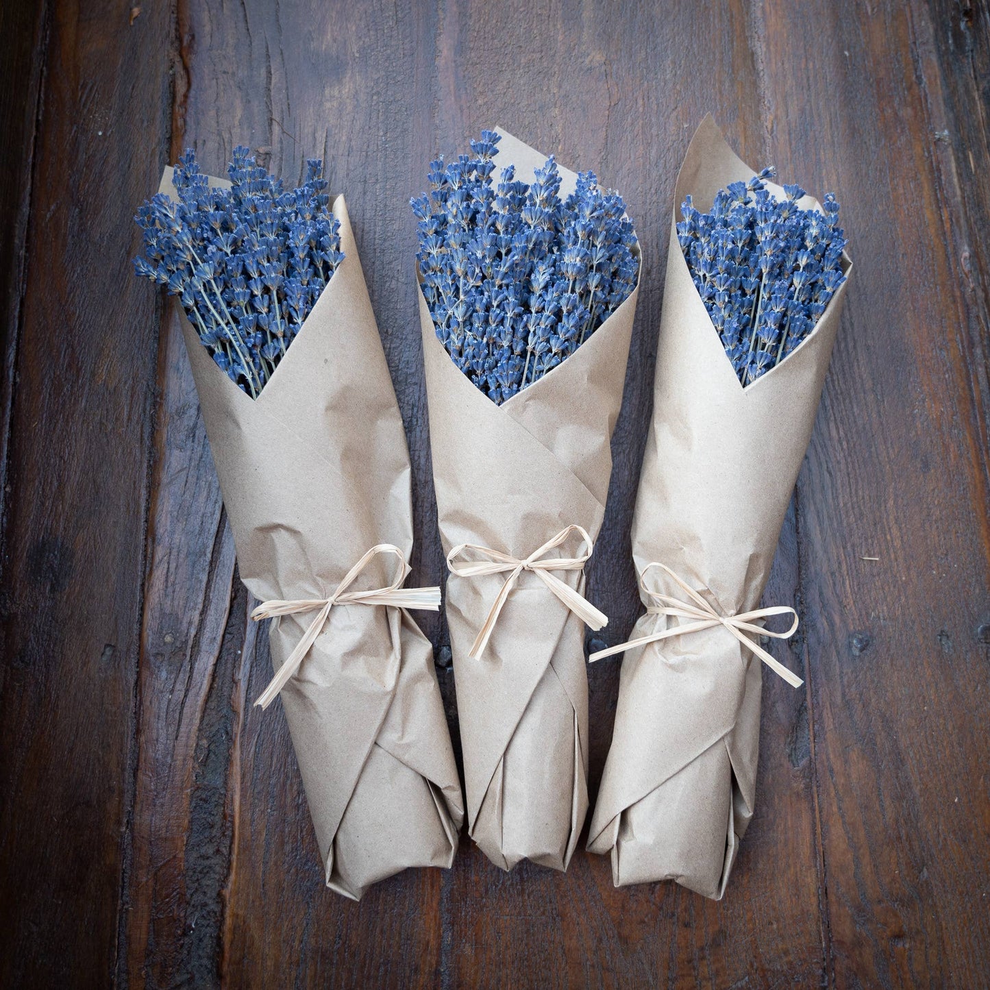 French Lavender Bunch