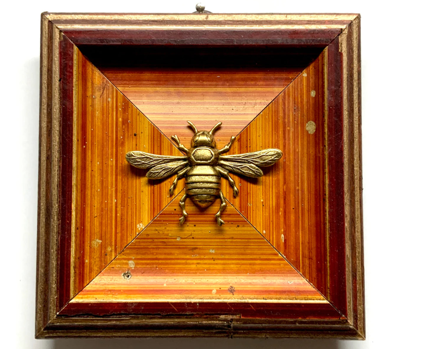 Museum Bees