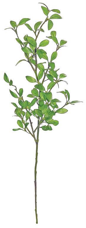 Privet Leaf Branch, 41", Green