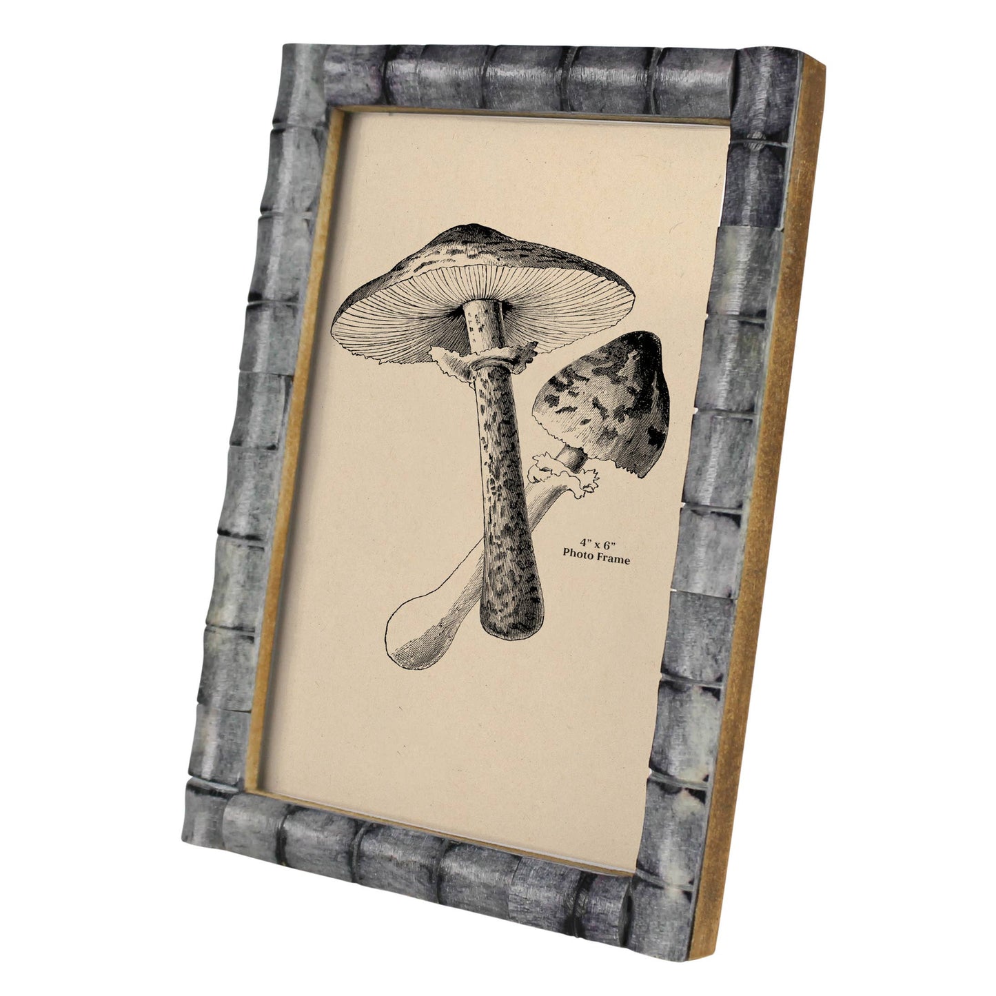 Gray Bone Frame 4x6