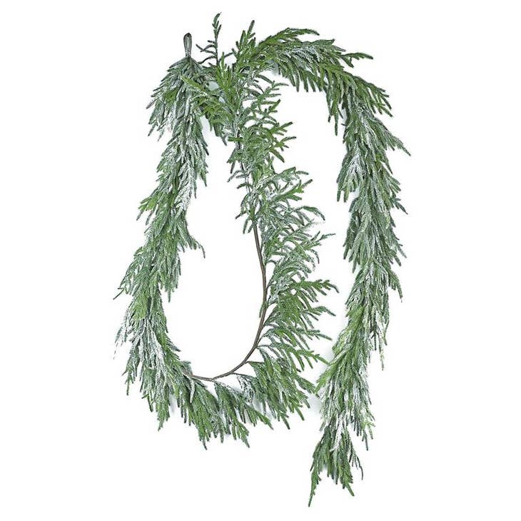 14' Snowy Norfolk Pine