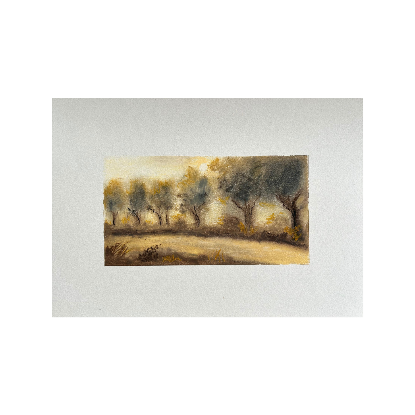 Fine Art Print - Heather Clevenger