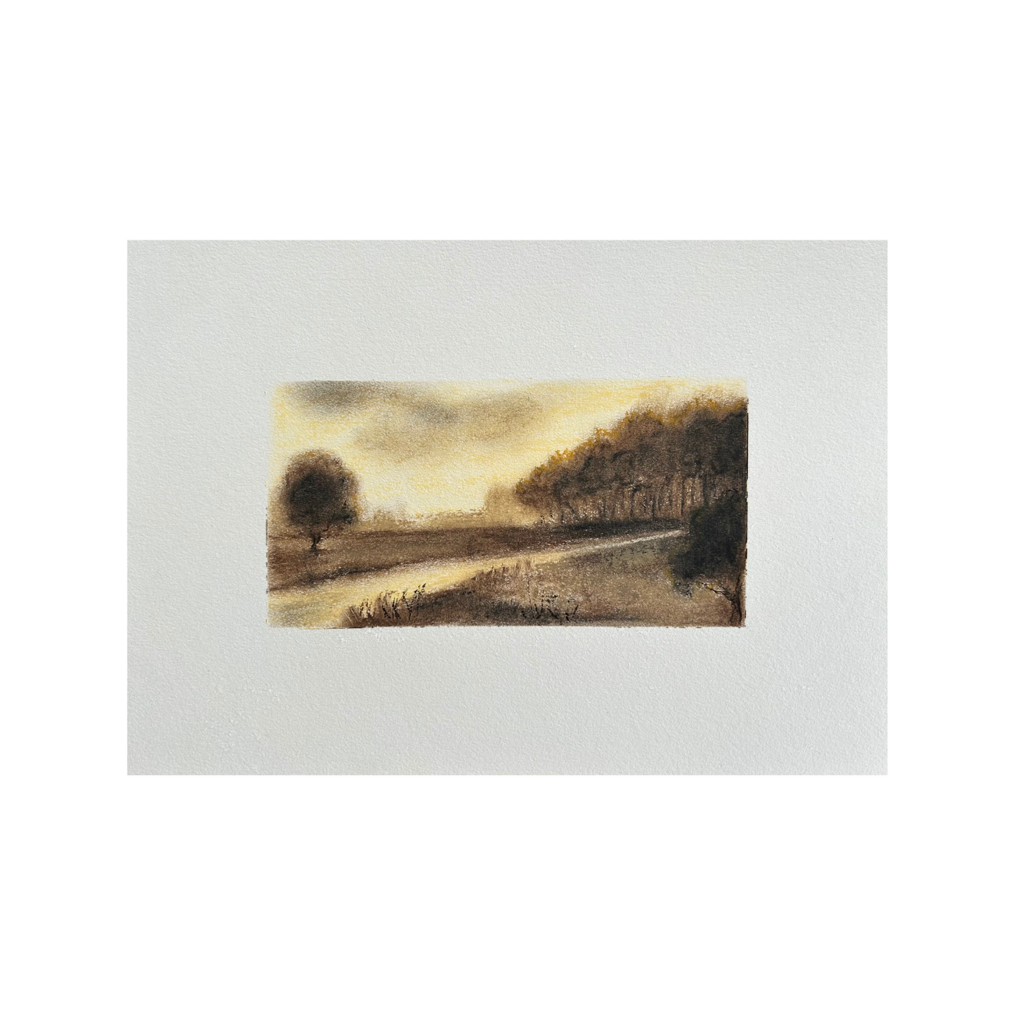 Fine Art Print - Heather Clevenger