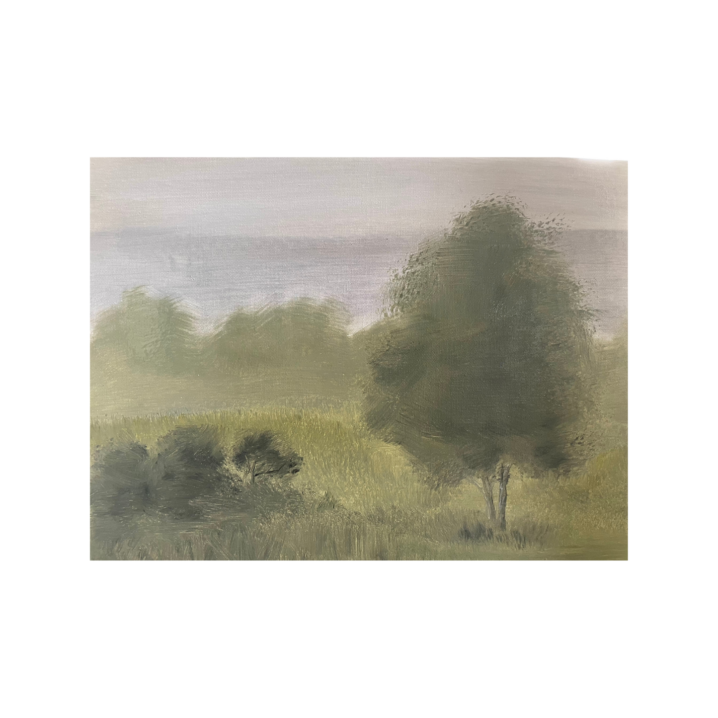 Fine Art Print - Heather Clevenger