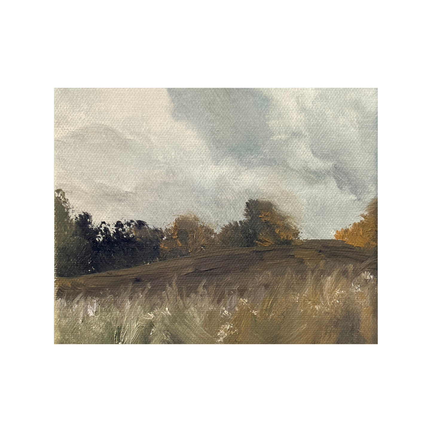 Fine Art Print - Heather Clevenger