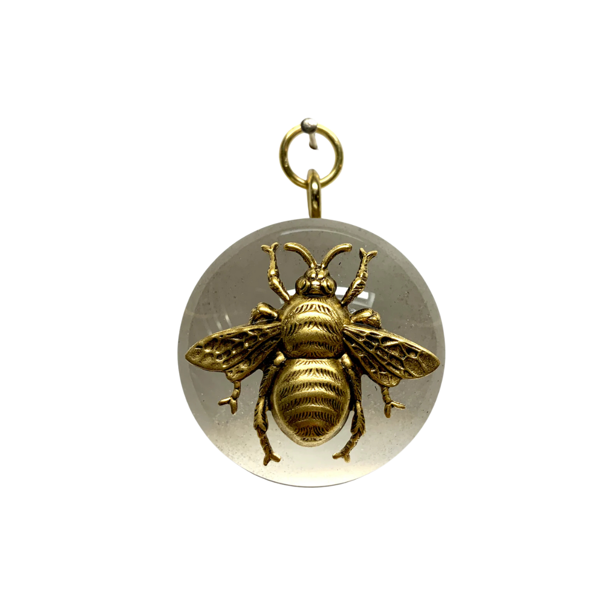 Museum Bees