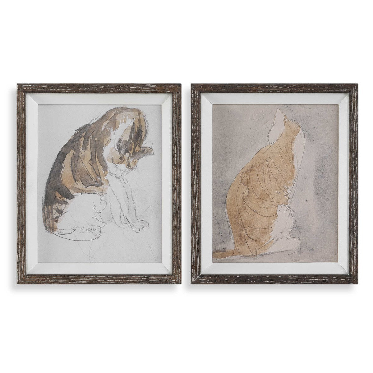 Gwendolen John Cat Framed Prints S/2