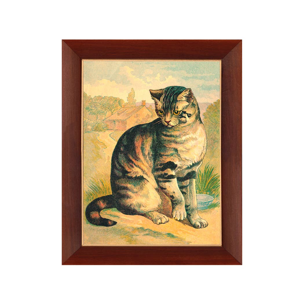 Cat Vintage Children's Book Illustration Framed Print