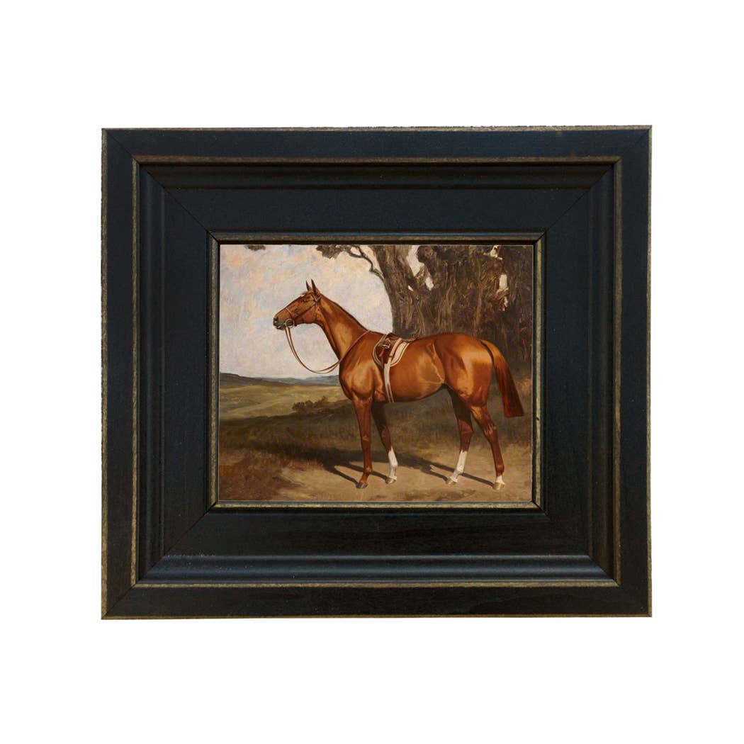 Saddled Chestnut Race Horse - Framed Print