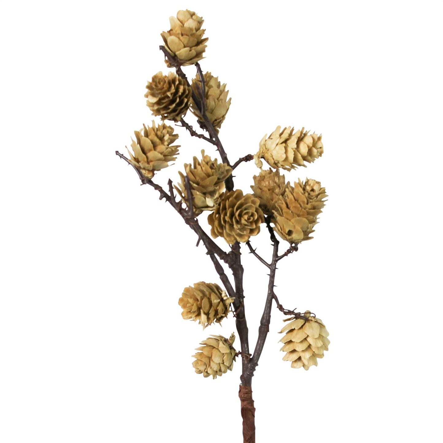 Mini Pinecone Botanical Stem