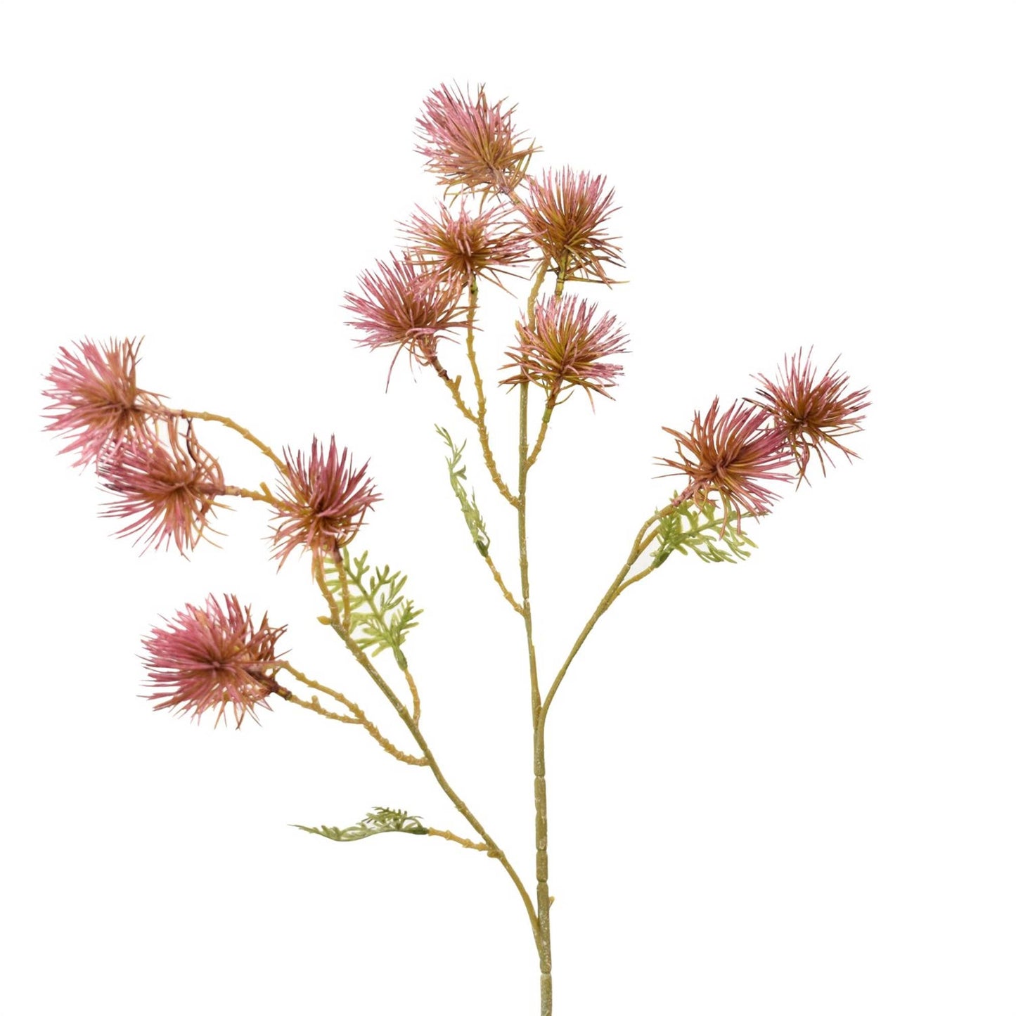Field Thistle Spray - Plum 27"