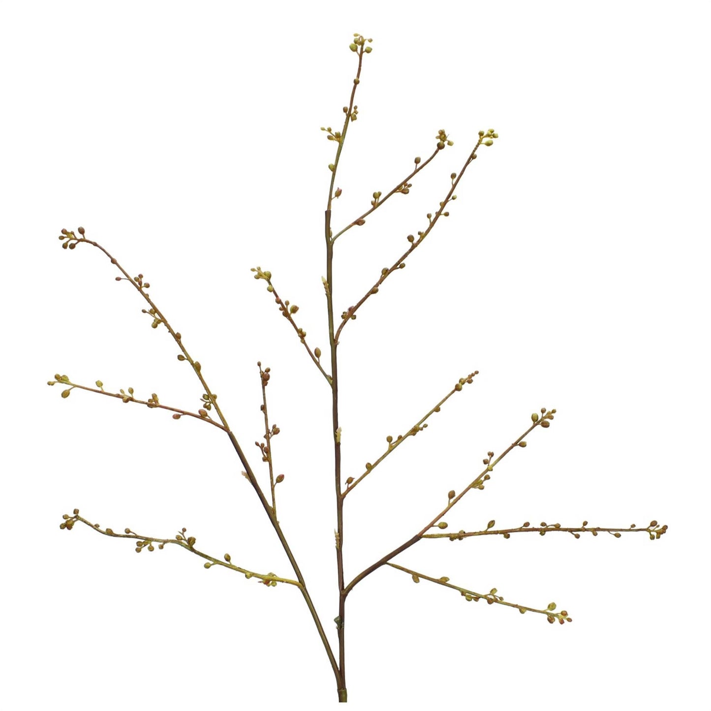 Maison Seeded Branch - Coral 32"