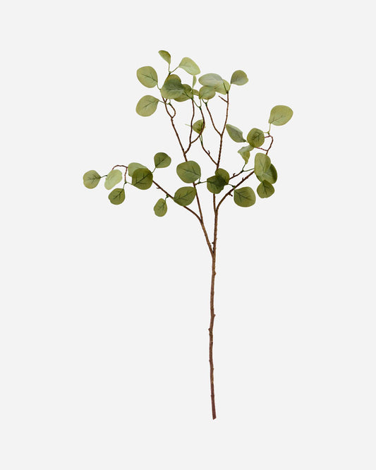 Eucalyptus Branch - 31.5"
