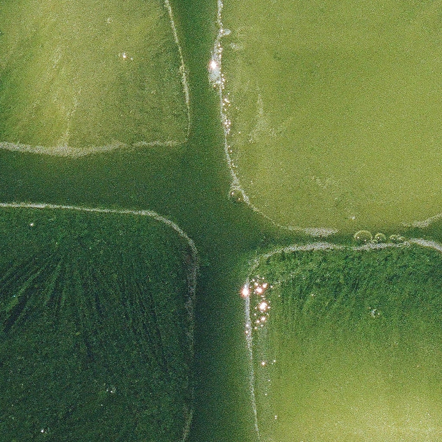 Organic Ceremonial Matcha