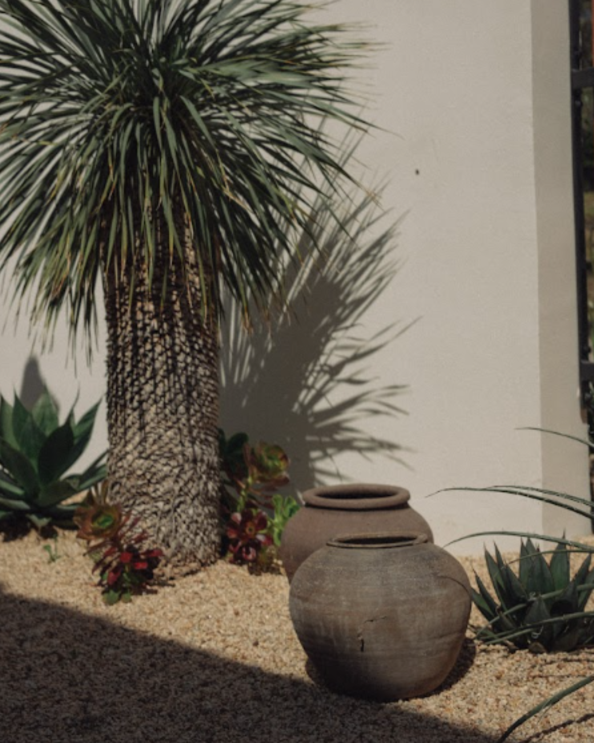 Chinese Clay Pot no. 4(NO HANDLE)