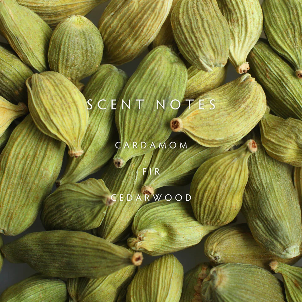 Linnea cedar cardamom petite candle