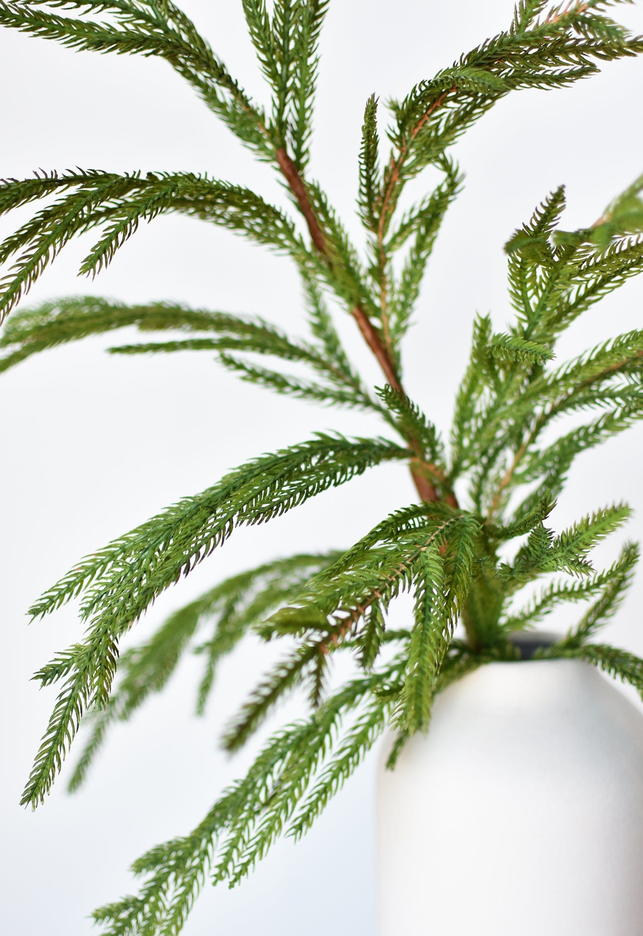 36" Faux Green Norfolk Pine - Cypress Spray Stem