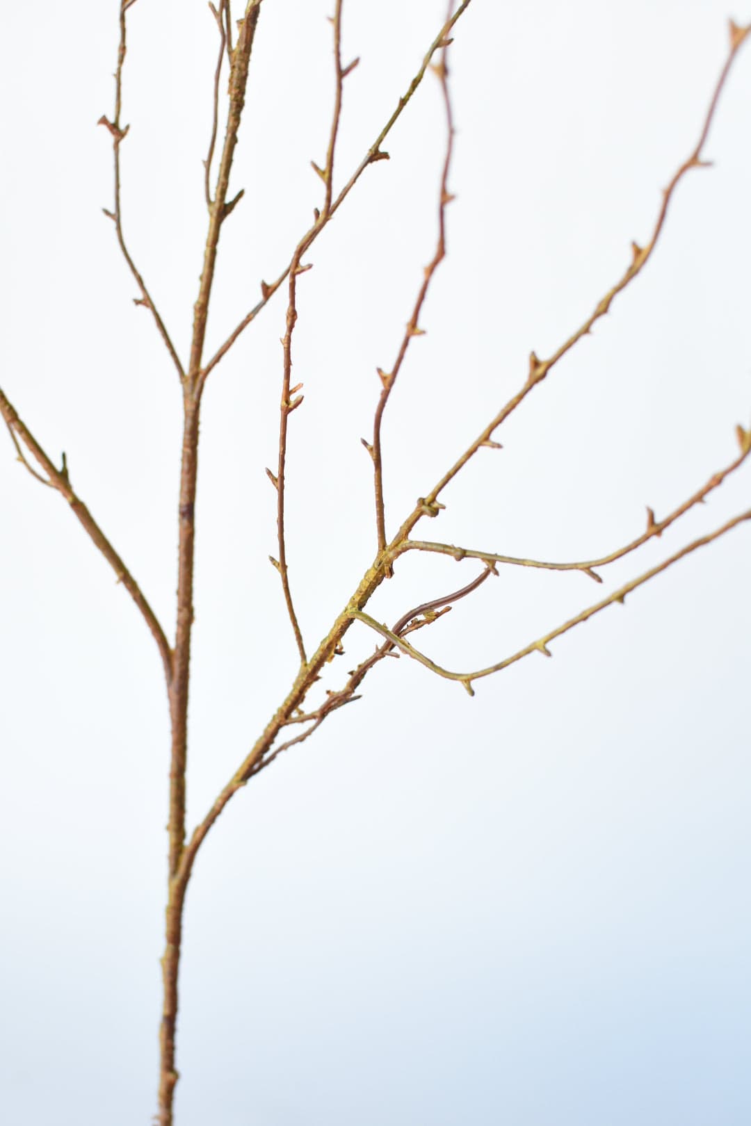 40" Faux Light Brown Twig Branch Stem