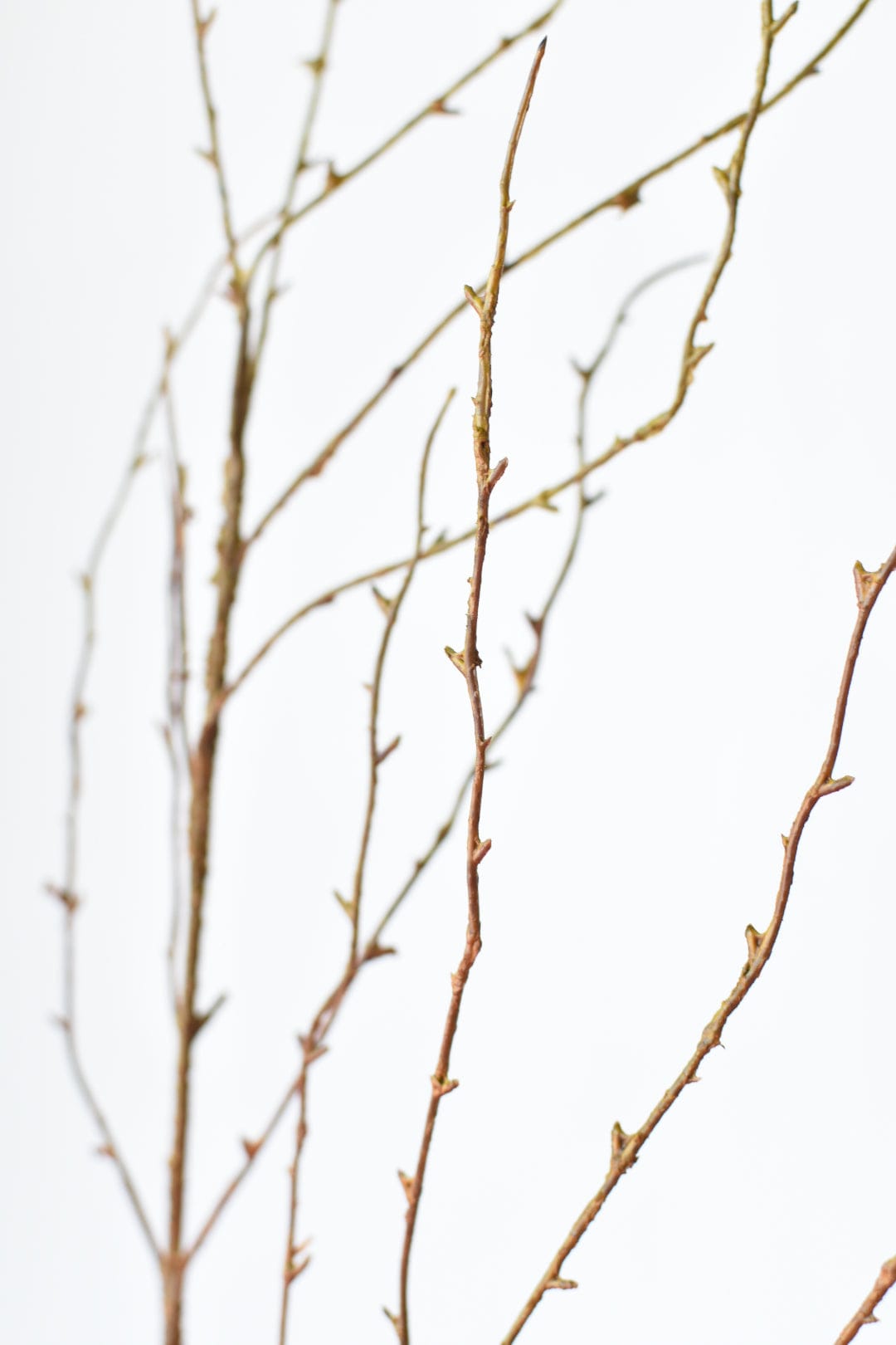 40" Faux Light Brown Twig Branch Stem