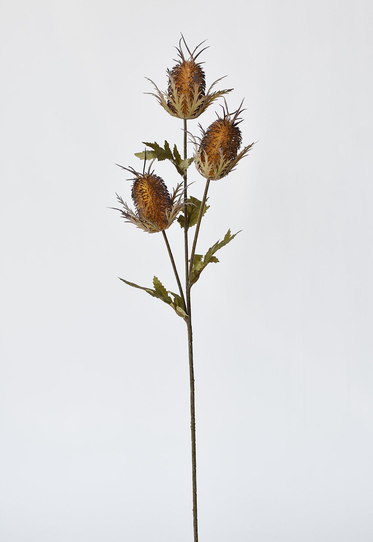 26" Faux Brown Thistle Stem