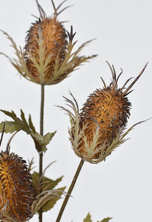 26" Faux Brown Thistle Stem