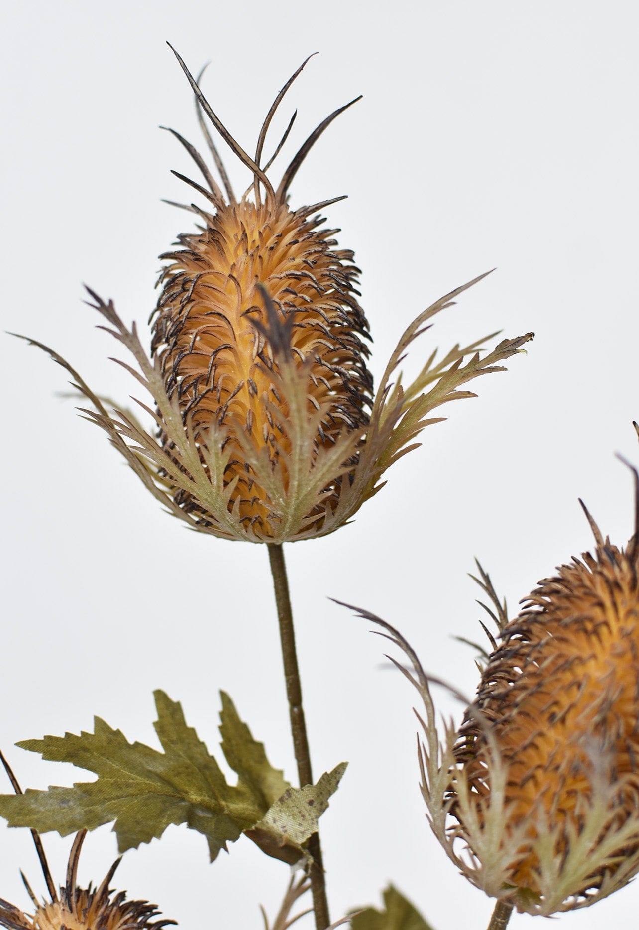 26" Faux Brown Thistle Stem