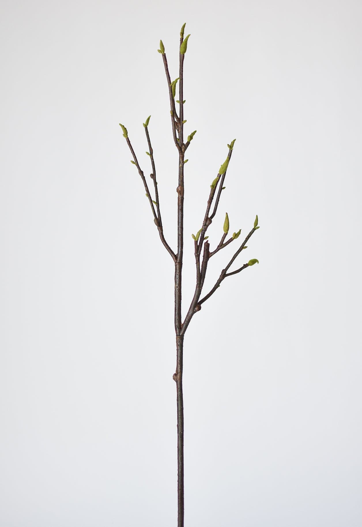 36" Faux Magnolia Tree Branch Stem