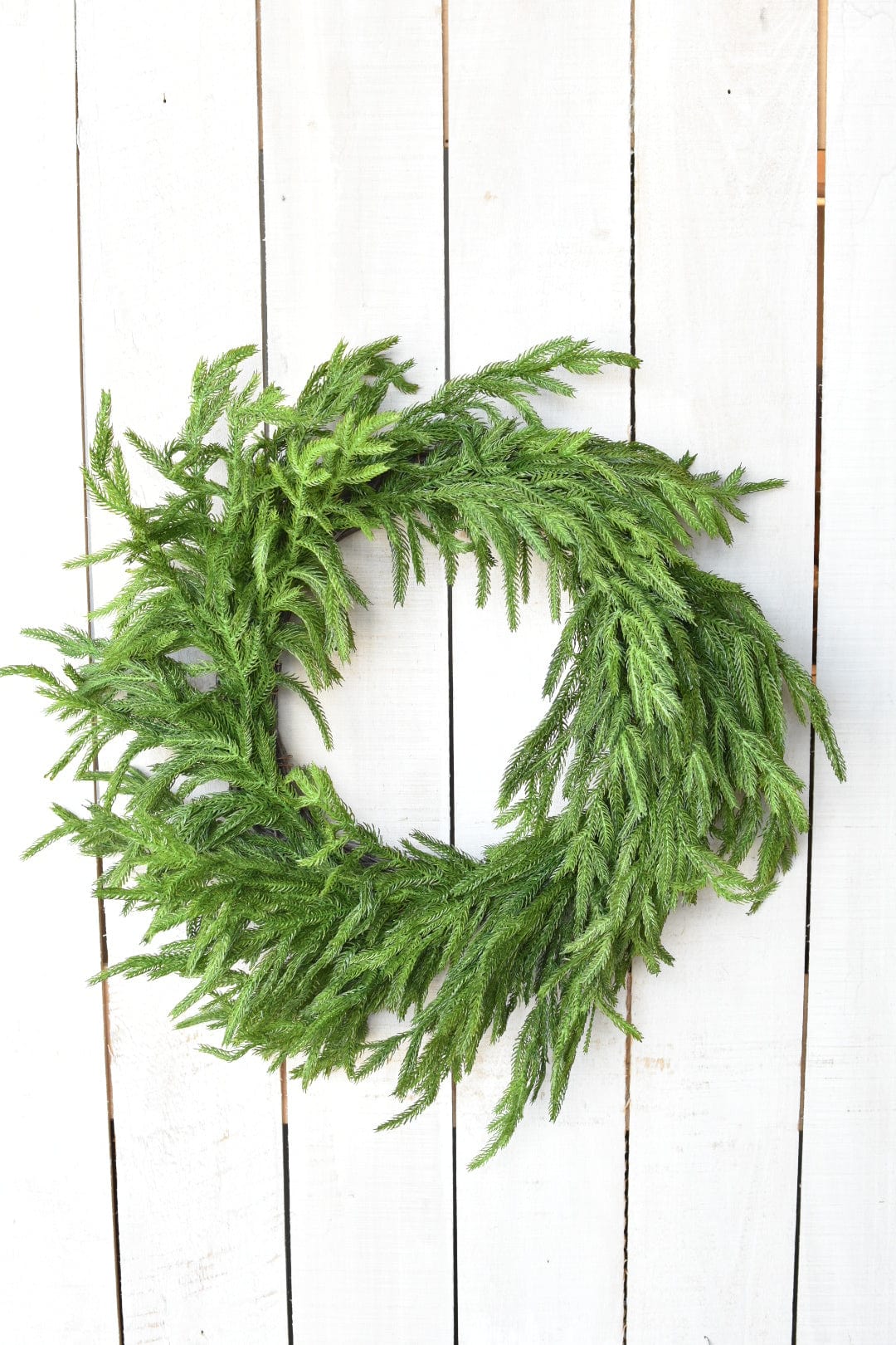 24" RealTouch Norfolk Pine Wreath