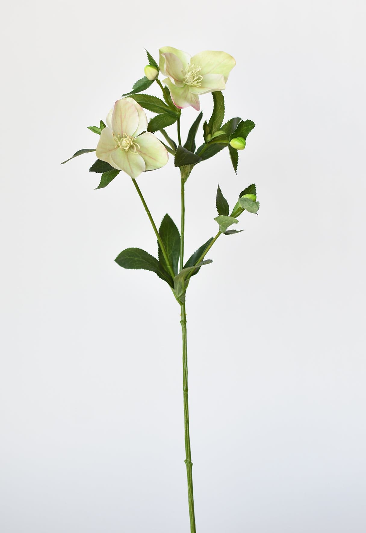 25" Faux Helleborus Stem Green