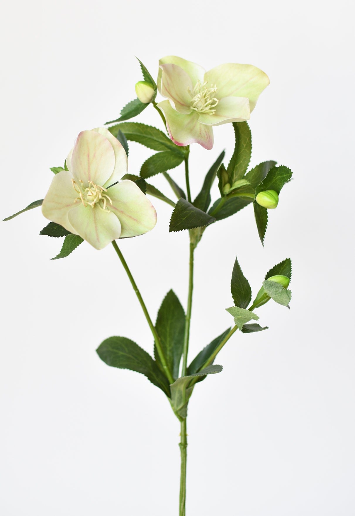 25" Faux Helleborus Stem Green