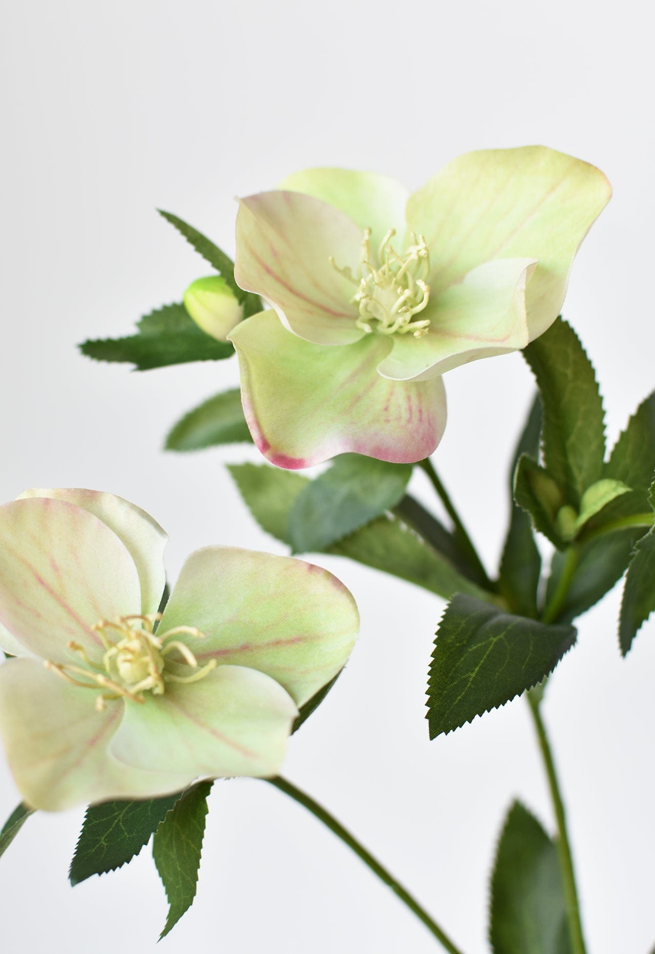 25" Faux Helleborus Stem Green