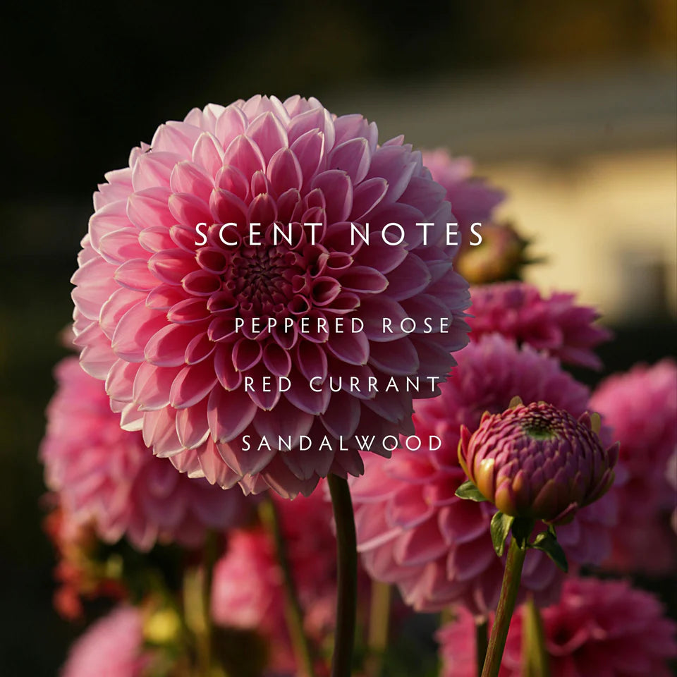 Dahlia two wick candle
