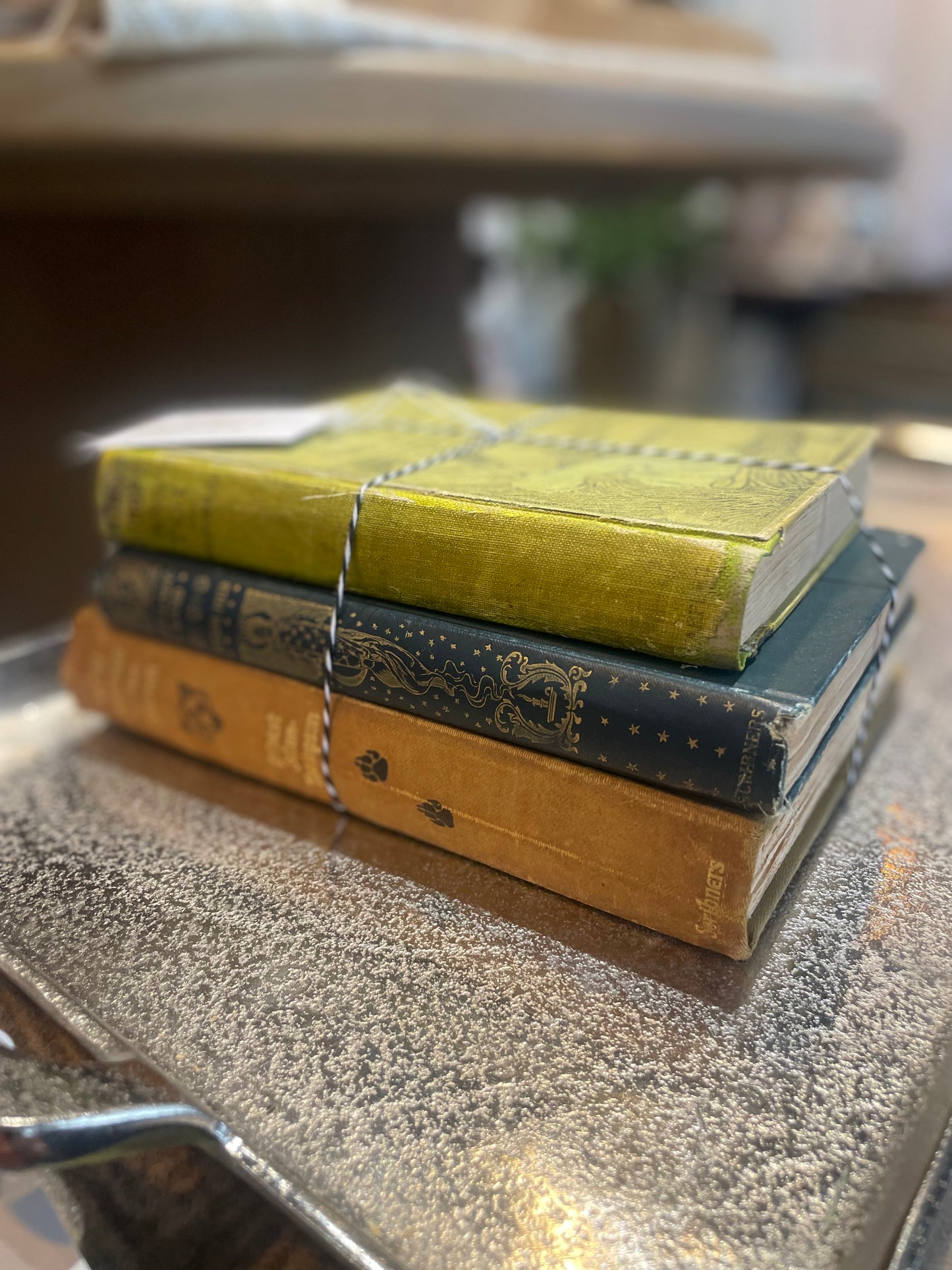 Vintage Book Bundle