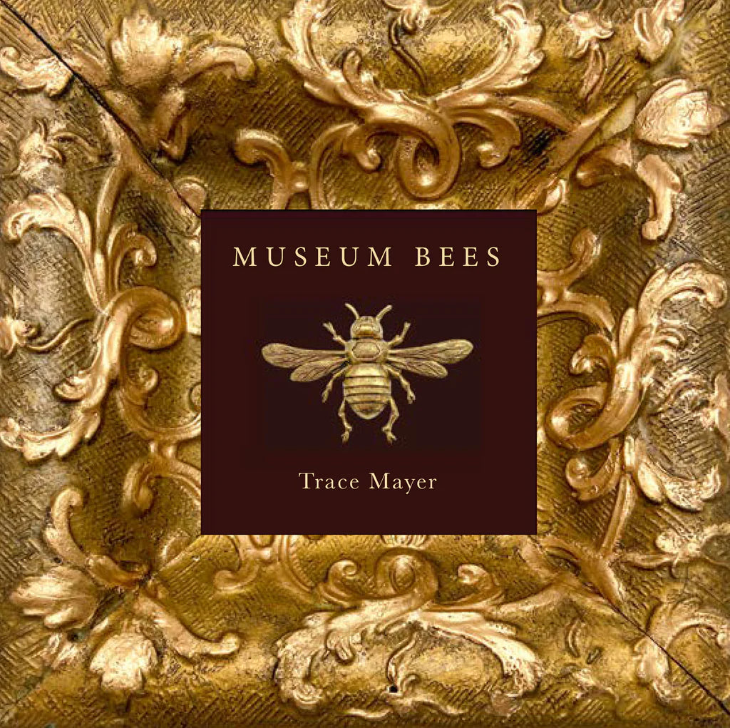 Museum Bees Book