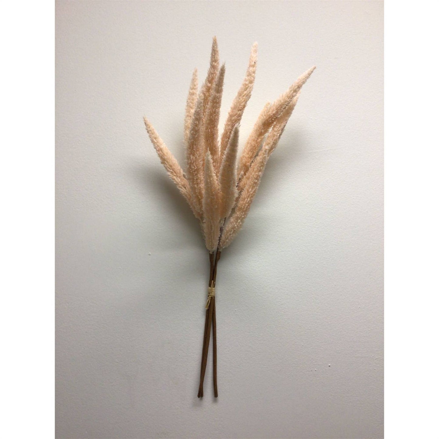 Pale Pink Foxtail Grass Bundle 24"