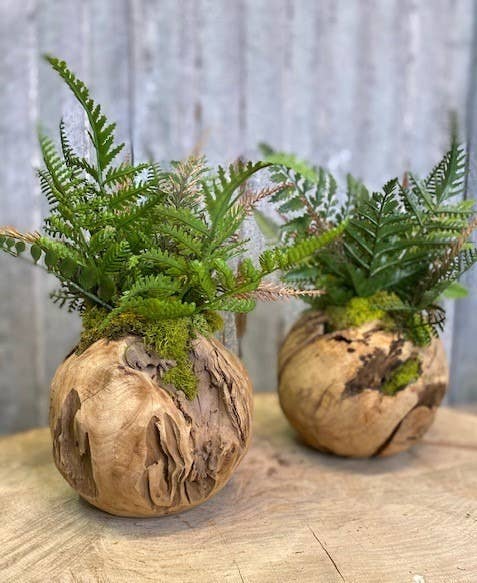 Woodland Fern in Wooden Orb