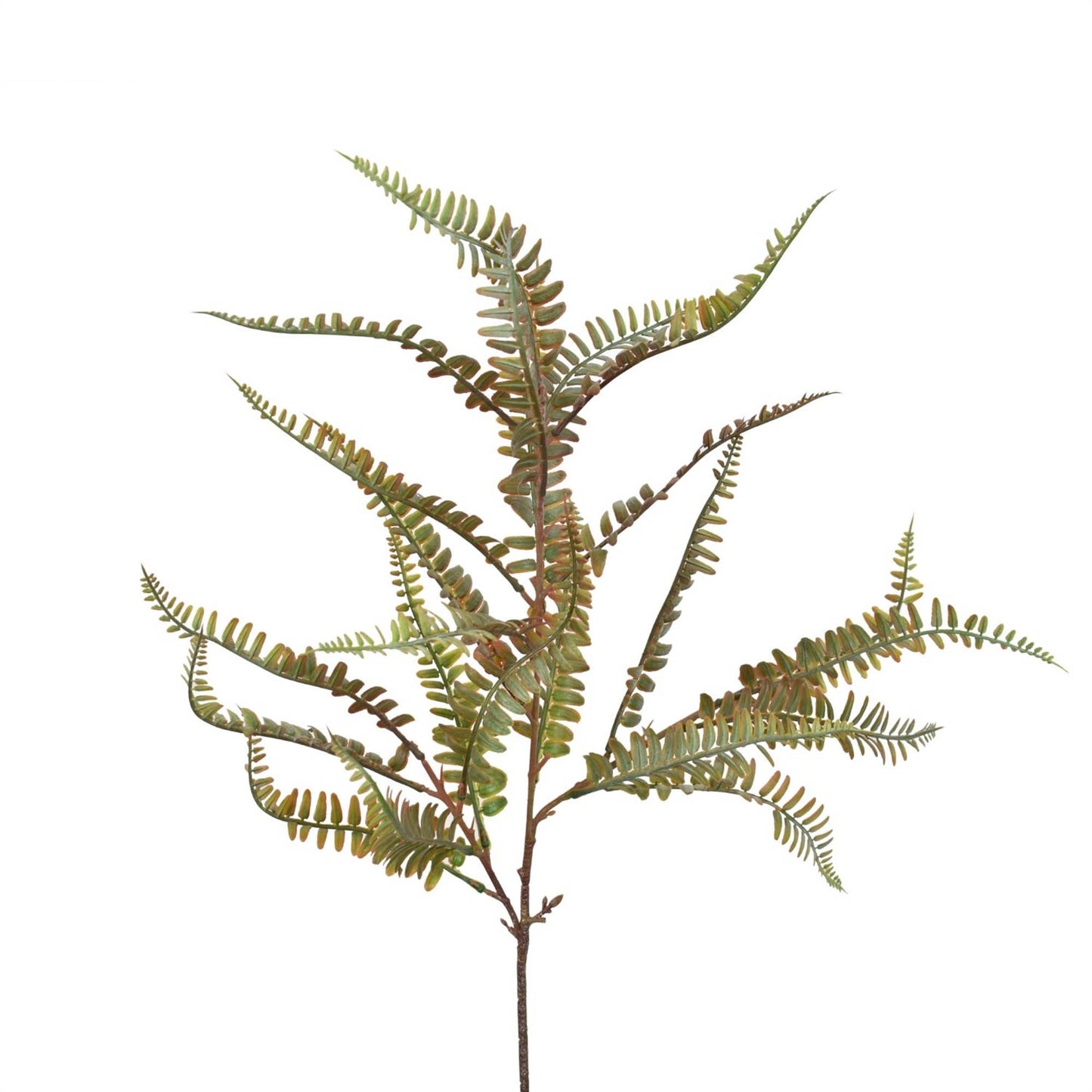 Fern Spray 28"