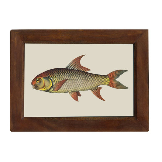 Salt Water Fish - Framed Print